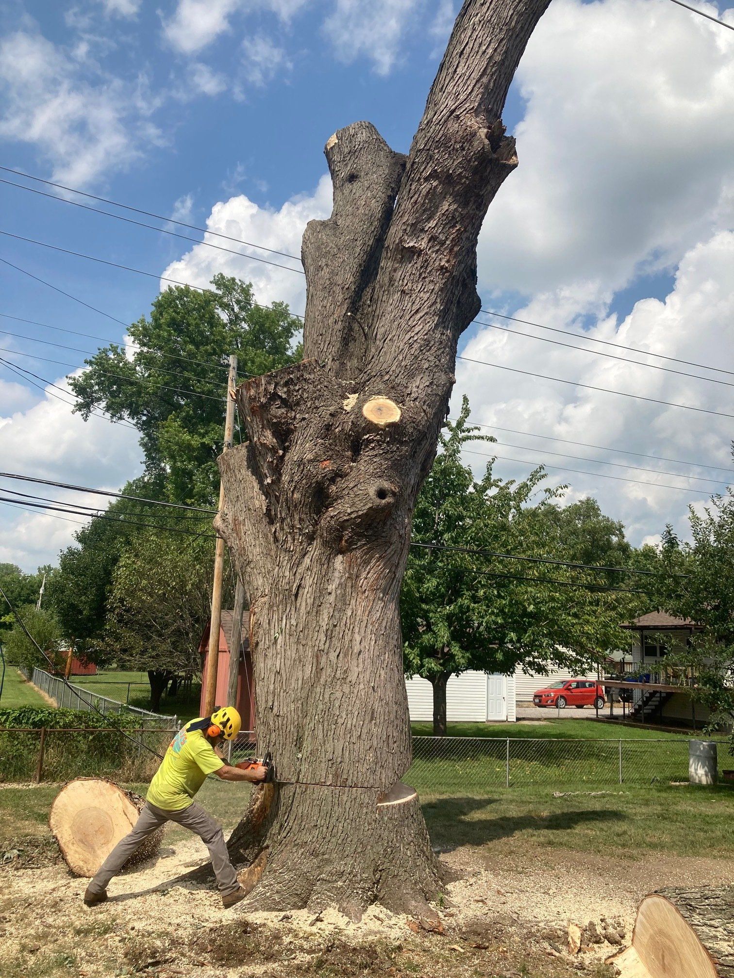tree service near edwardsville il
