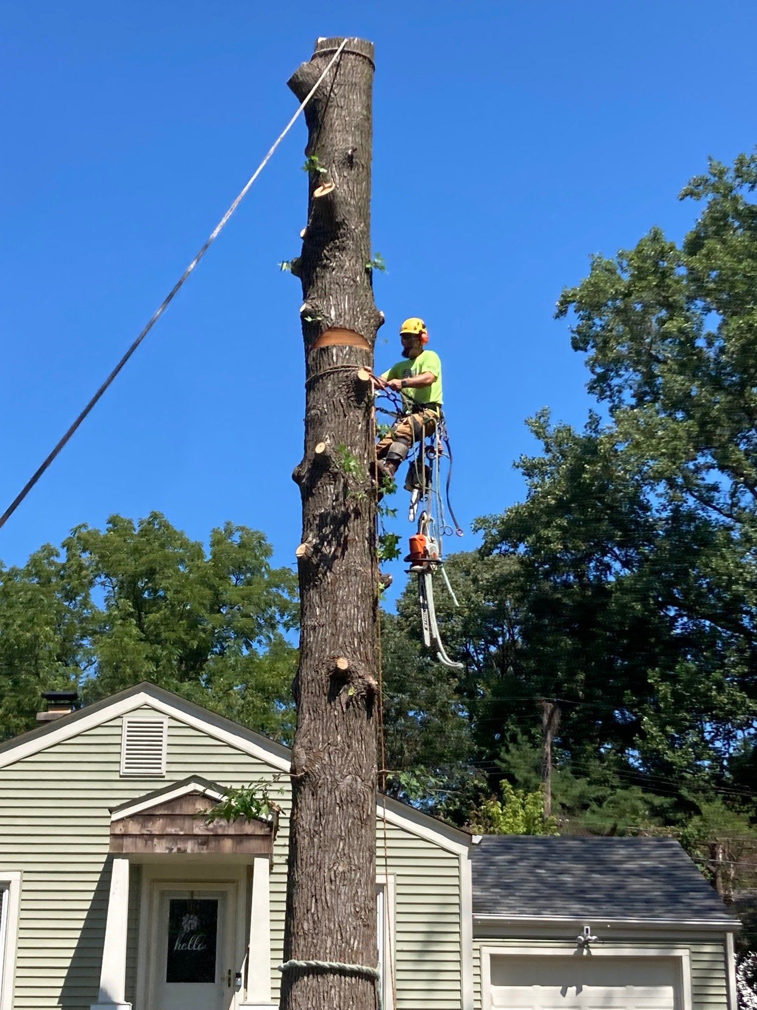 tree services near me maryville il