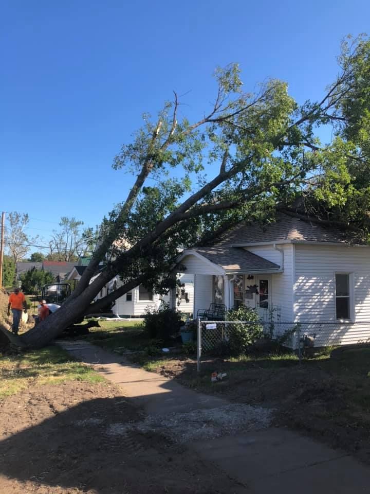 edwardsville emergency tree service
