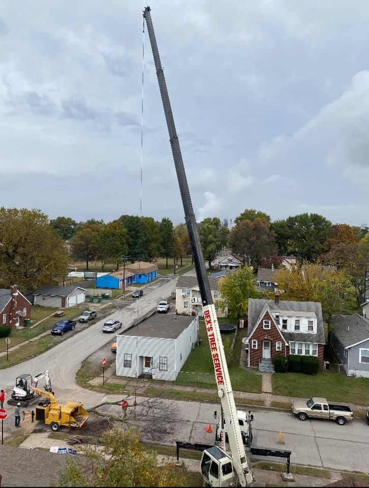 Edwardsville tree removal