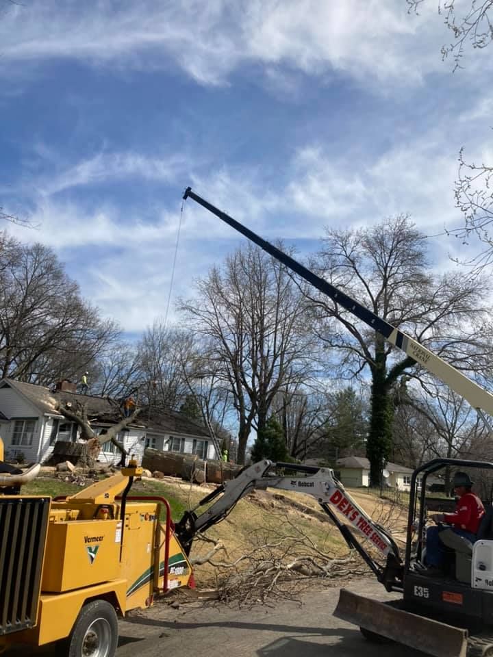tree service near me