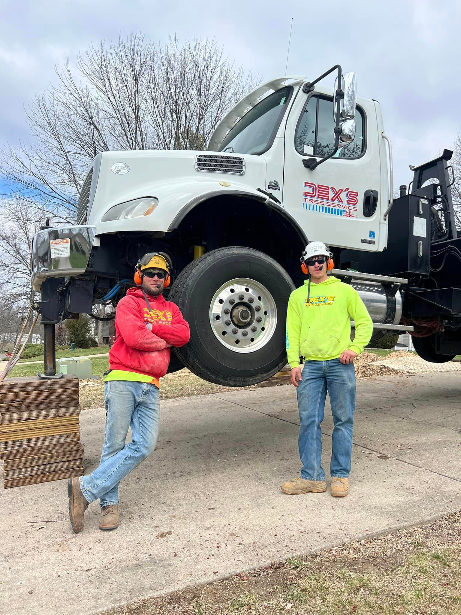 dexs tree service edwardsville il