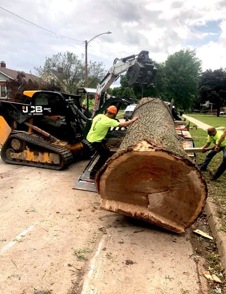 emergency tree service edwardsville il