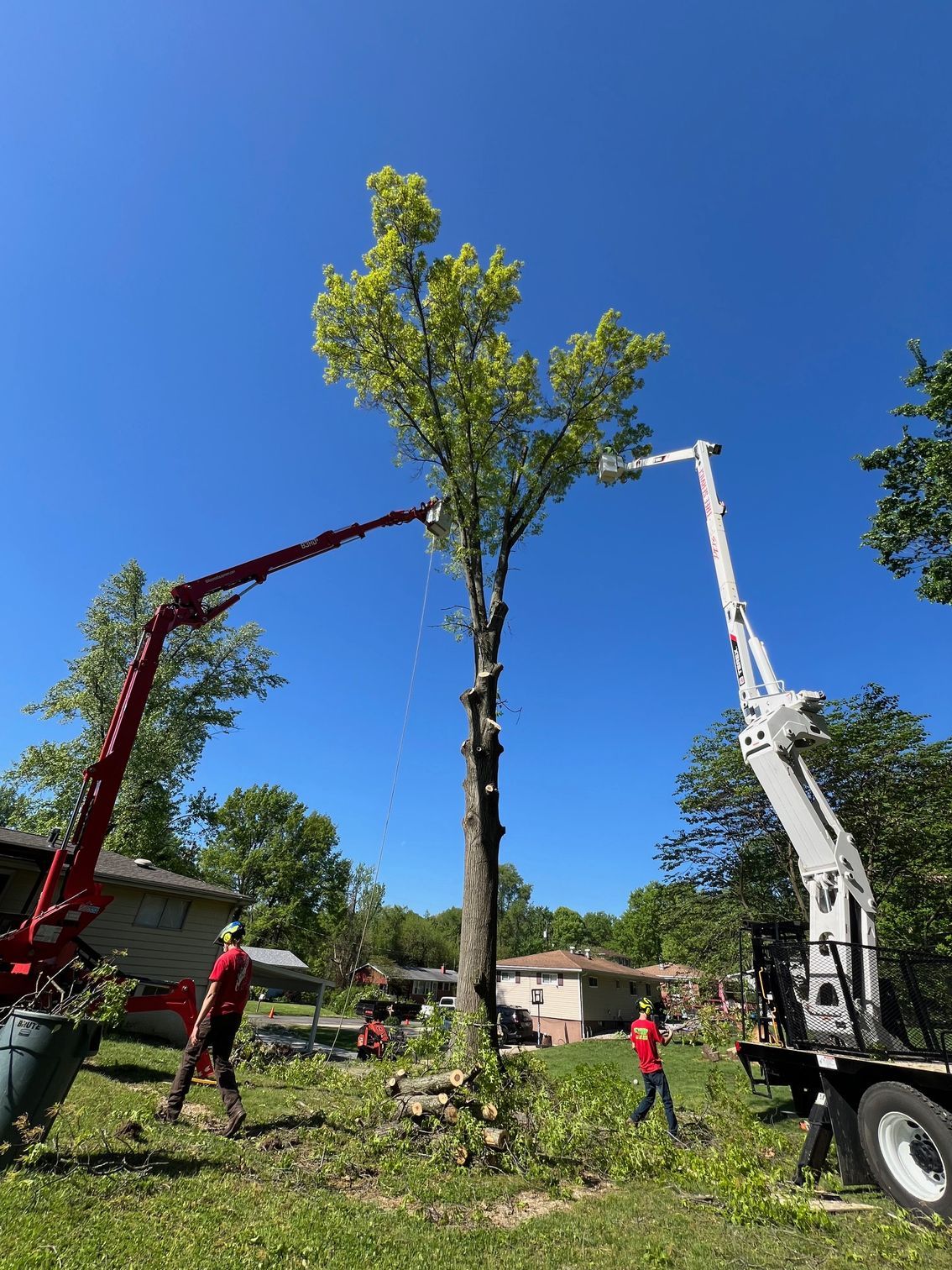 tree service crane