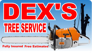 dex tree service near you