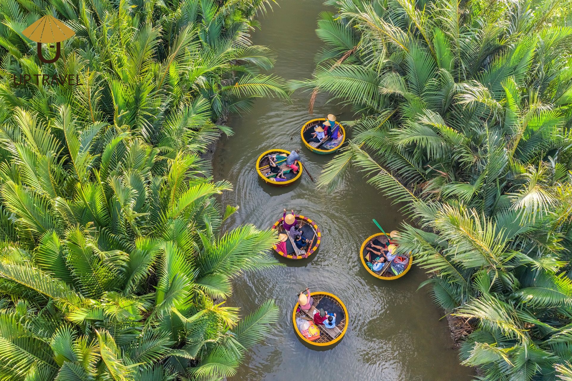 Aerial view of travelers rowing round bamboo basket boats through dense nipa palm waterways.