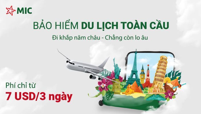 MIC travel insurance
