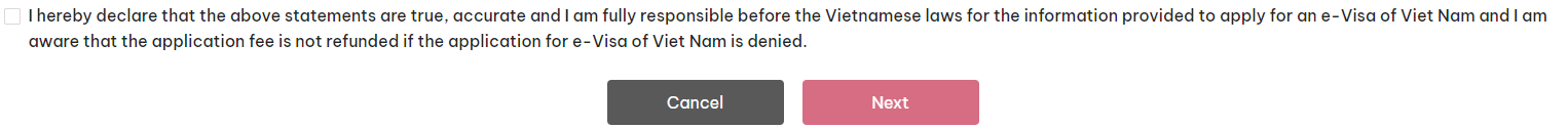 accept evisa application