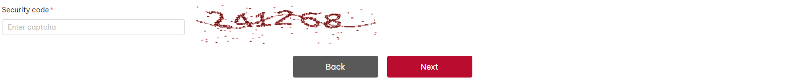 verification code for evisa application