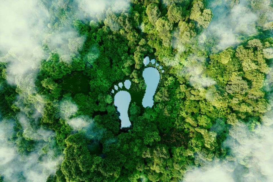 Aerial view of a lush green forest with two footprint-shaped lakes surrounded by mist.