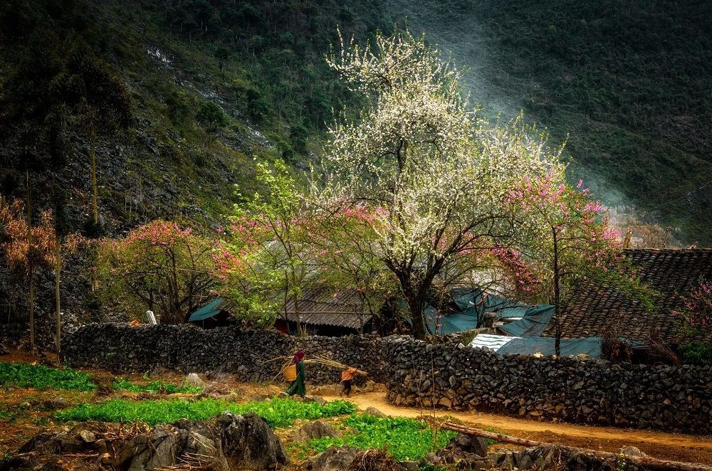 ha giang vietnam in winter
