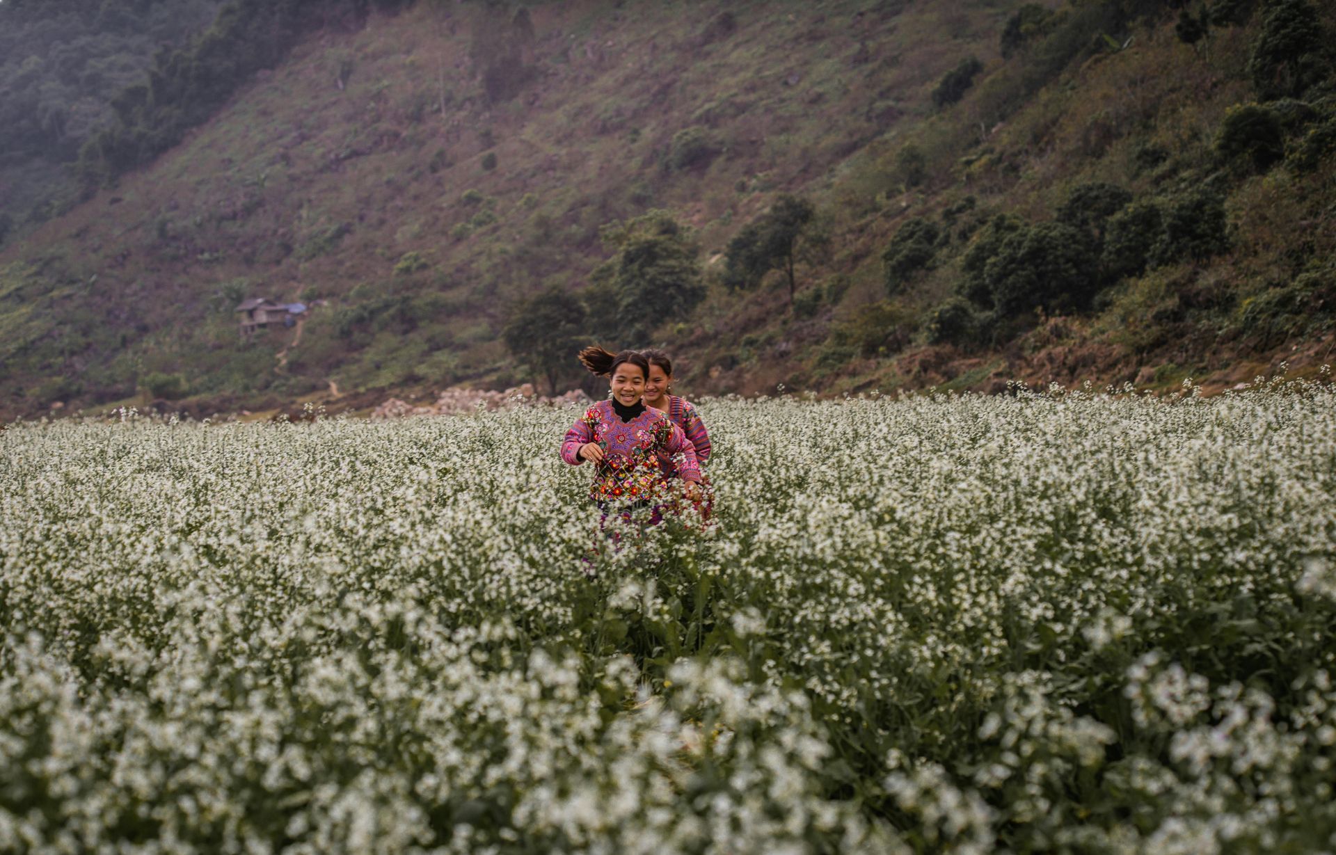 Two young girls running and laughing together in a vibrant field of blooming buckwheat flowers.