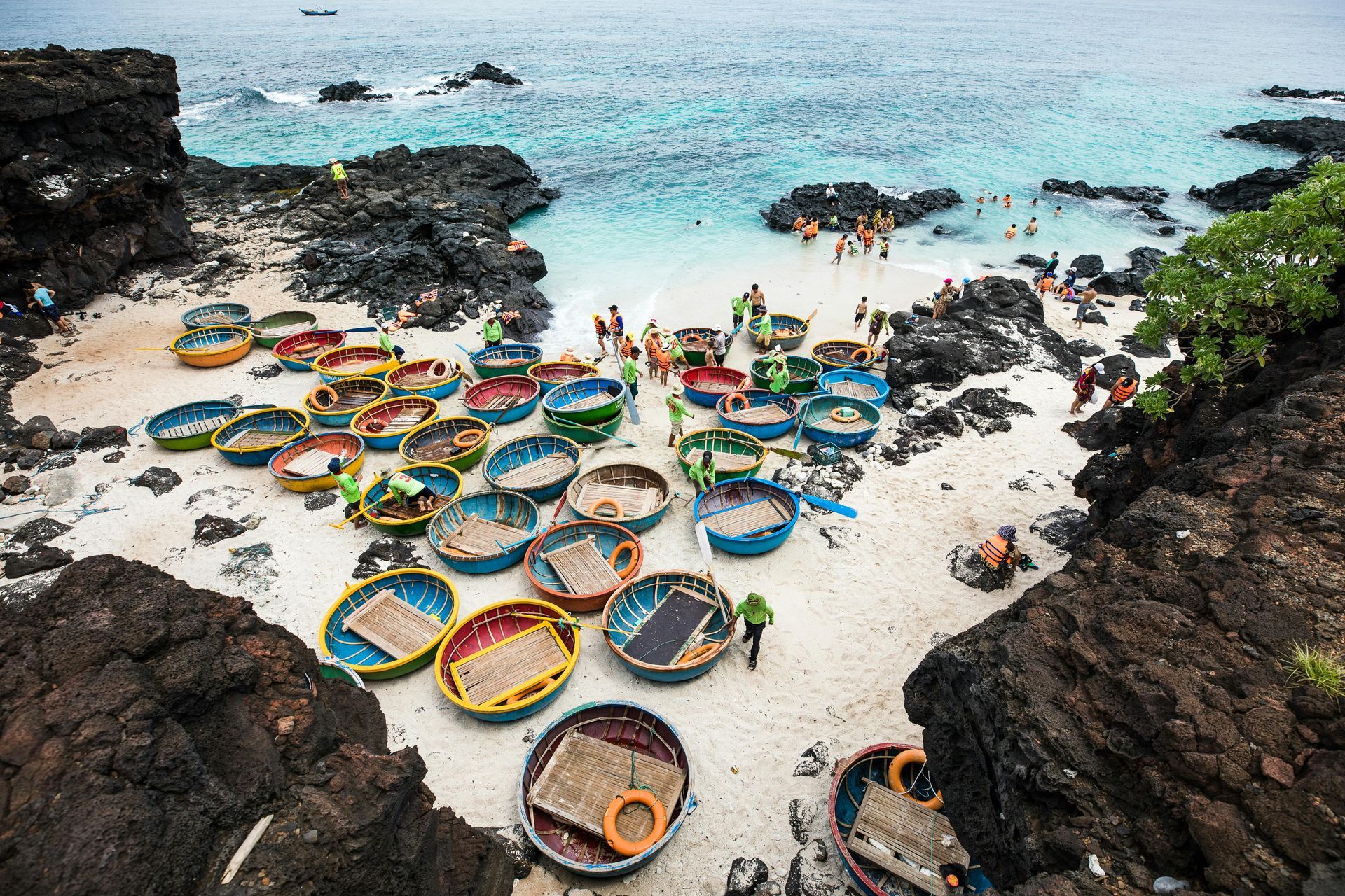 Colorful traditional basket boats lined along the coast of Ly Son Island, showcasing local maritime heritage.