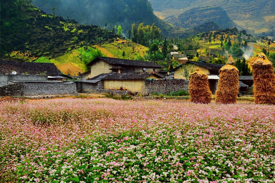 Ha giang in winter
