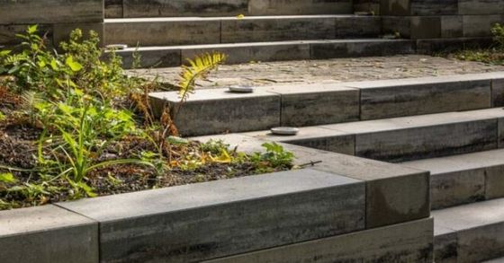 A set of stairs along a retaining wall with plants growing on the side of them in Riverside, California