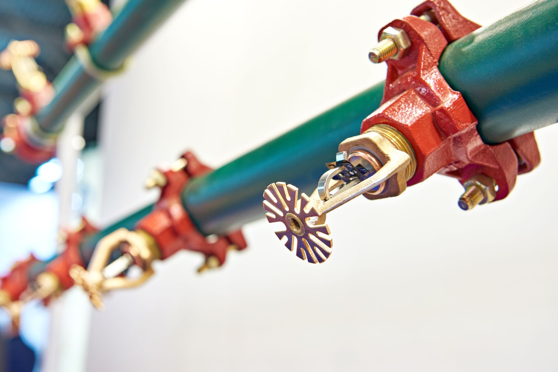 Overhead fire sprinkler pipes with red valve heads and sprinkler nozzles