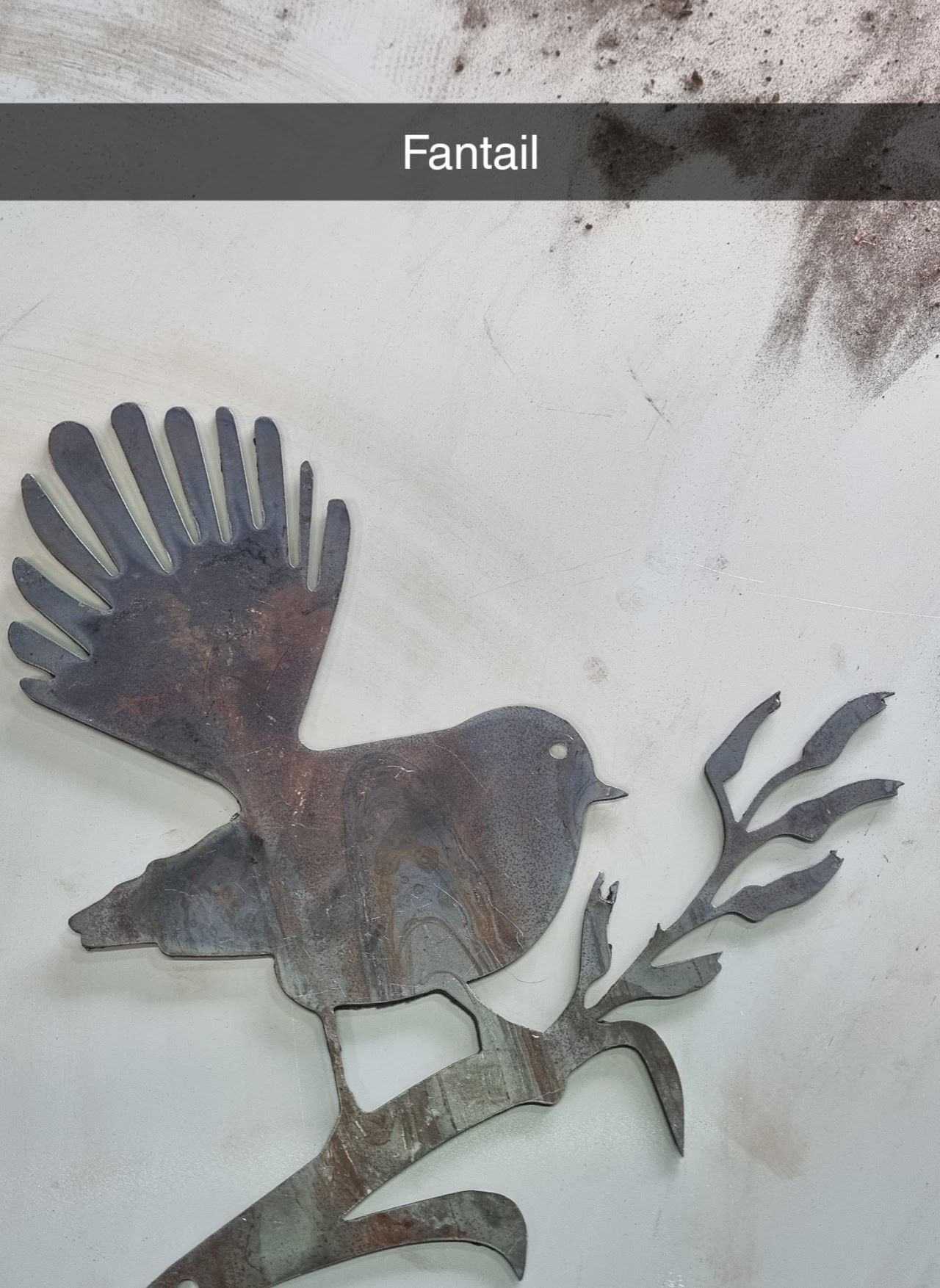 A silhouette of a bird sitting on a branch with the word fantail above it.