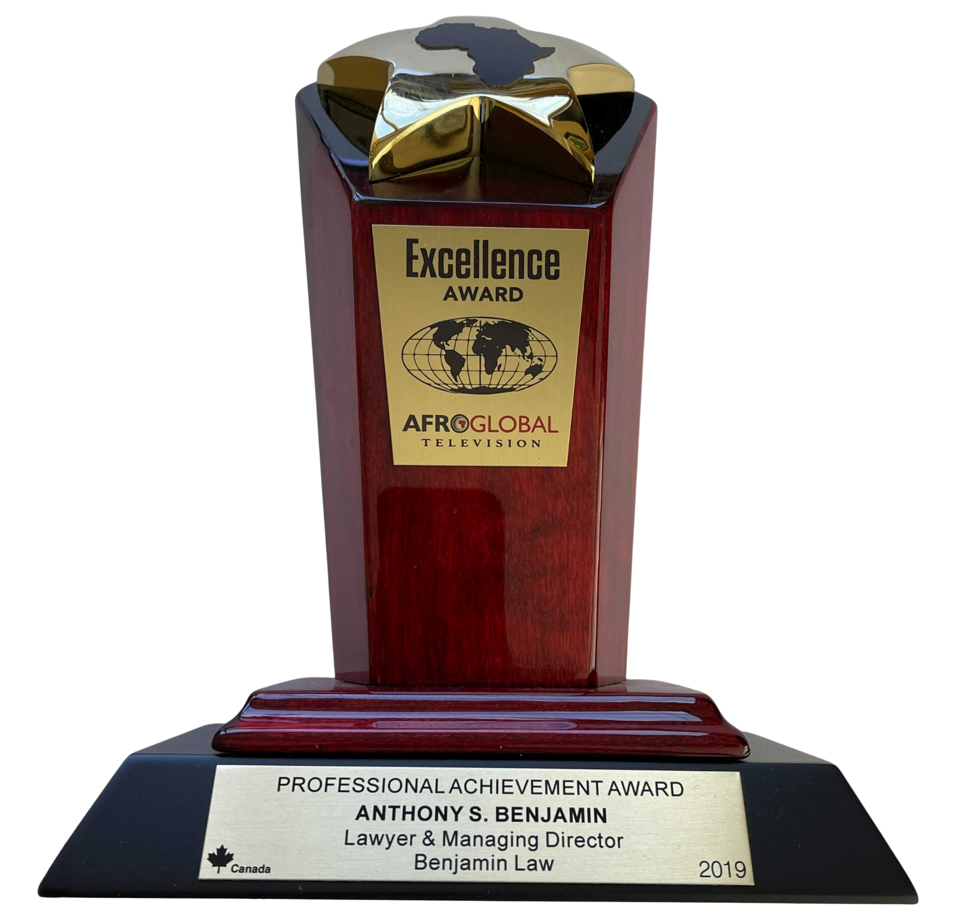 2019 Professional Achievement Award by Afroglobal Television & Silvertrust Media