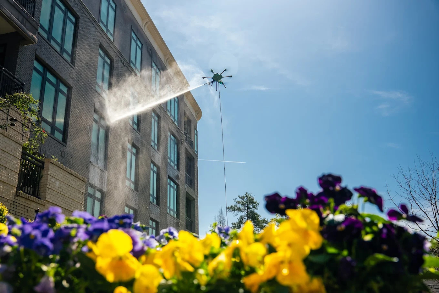 Sprinkler spraying water beside a brick building, with purple and yellow flowers in the foreground