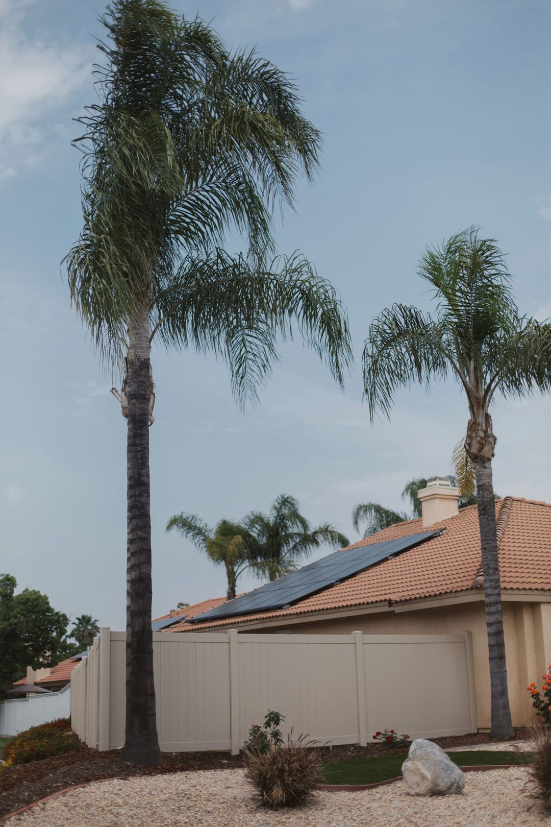 Tall palm trees beside a red-tiled suburban house under a clear sky