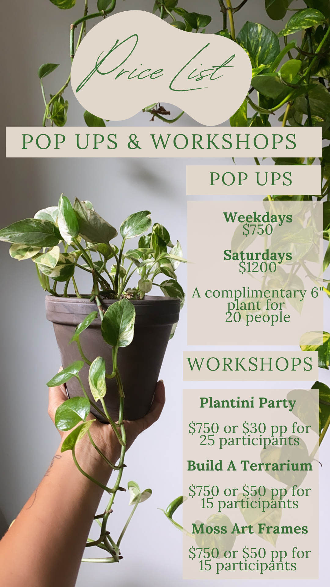 Pricing list for popups and workshops