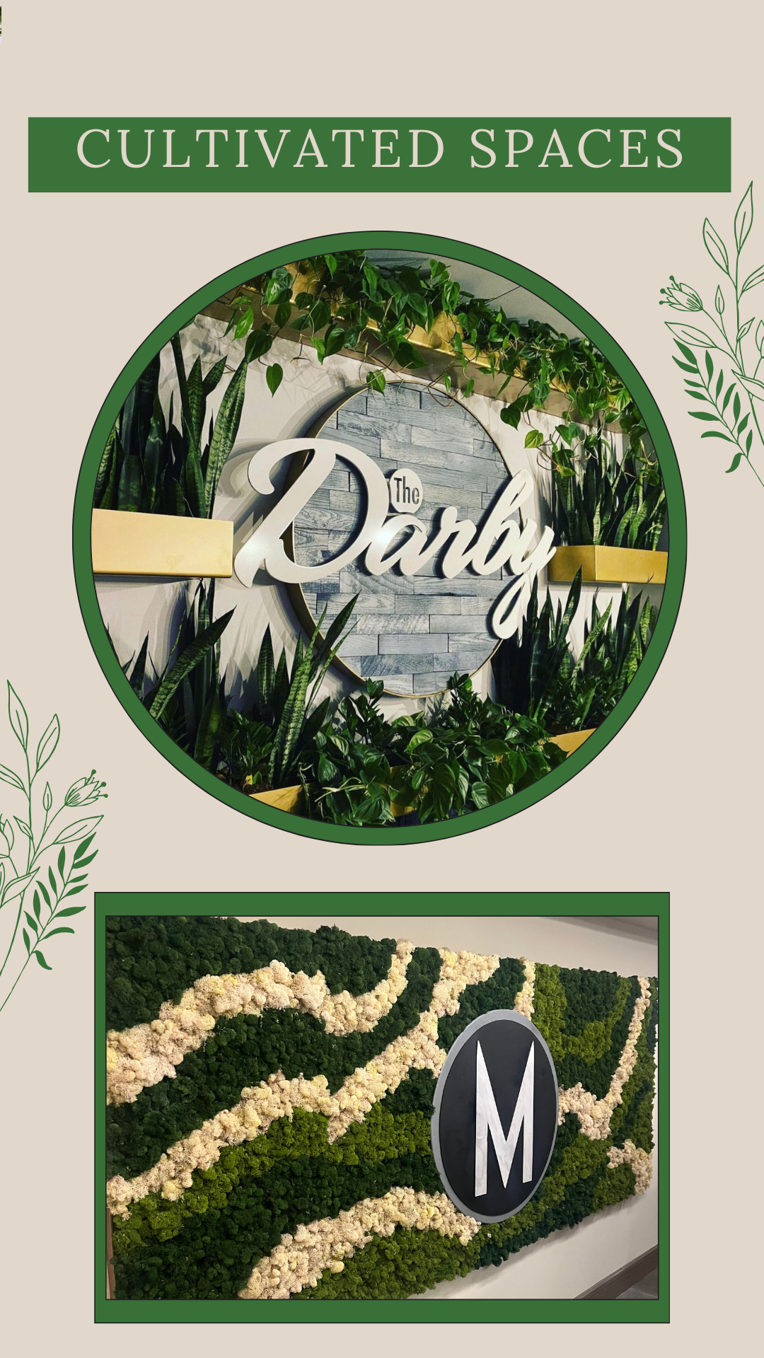 Orchid & Houseplant Design