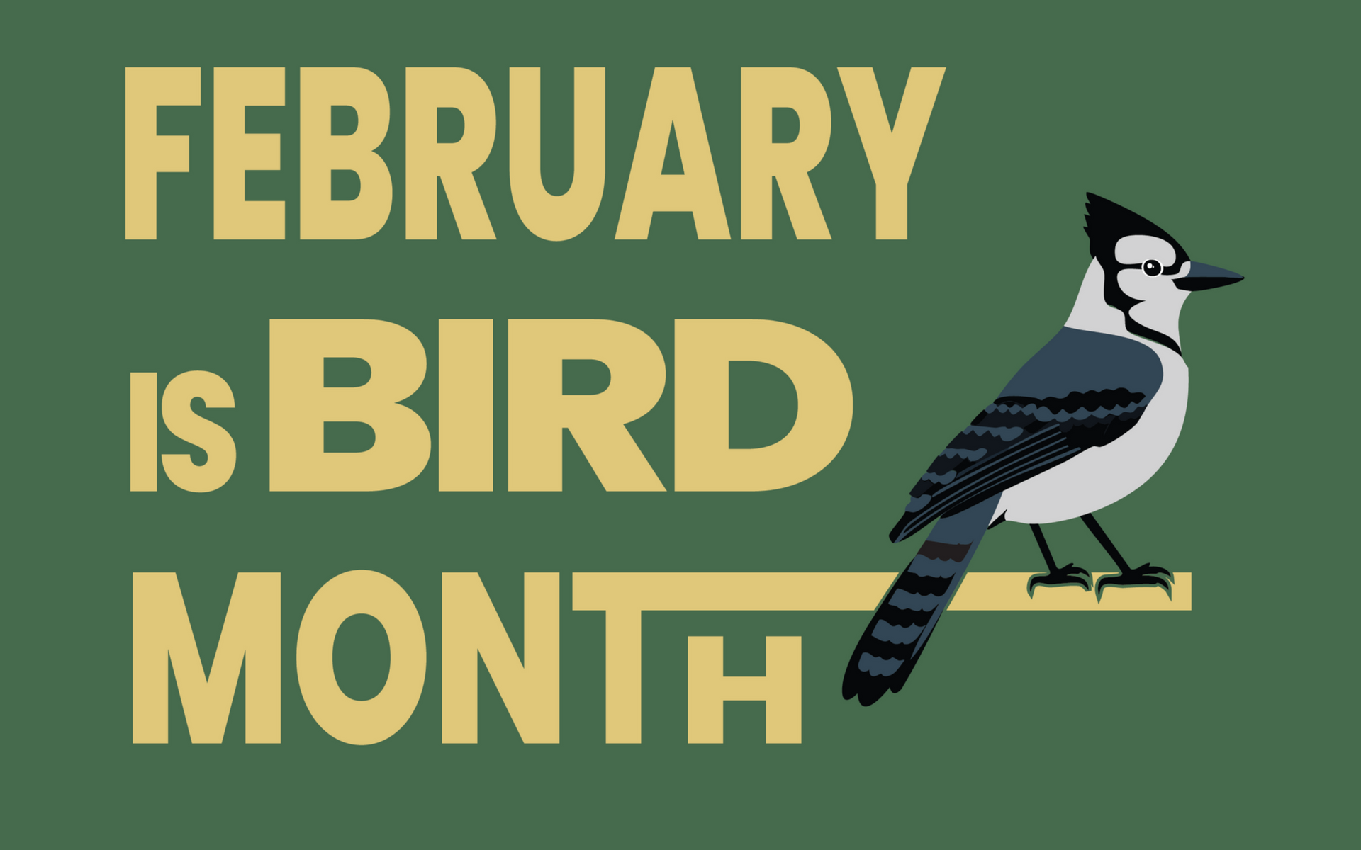 Bird Supplies at Logan's Garden Shop