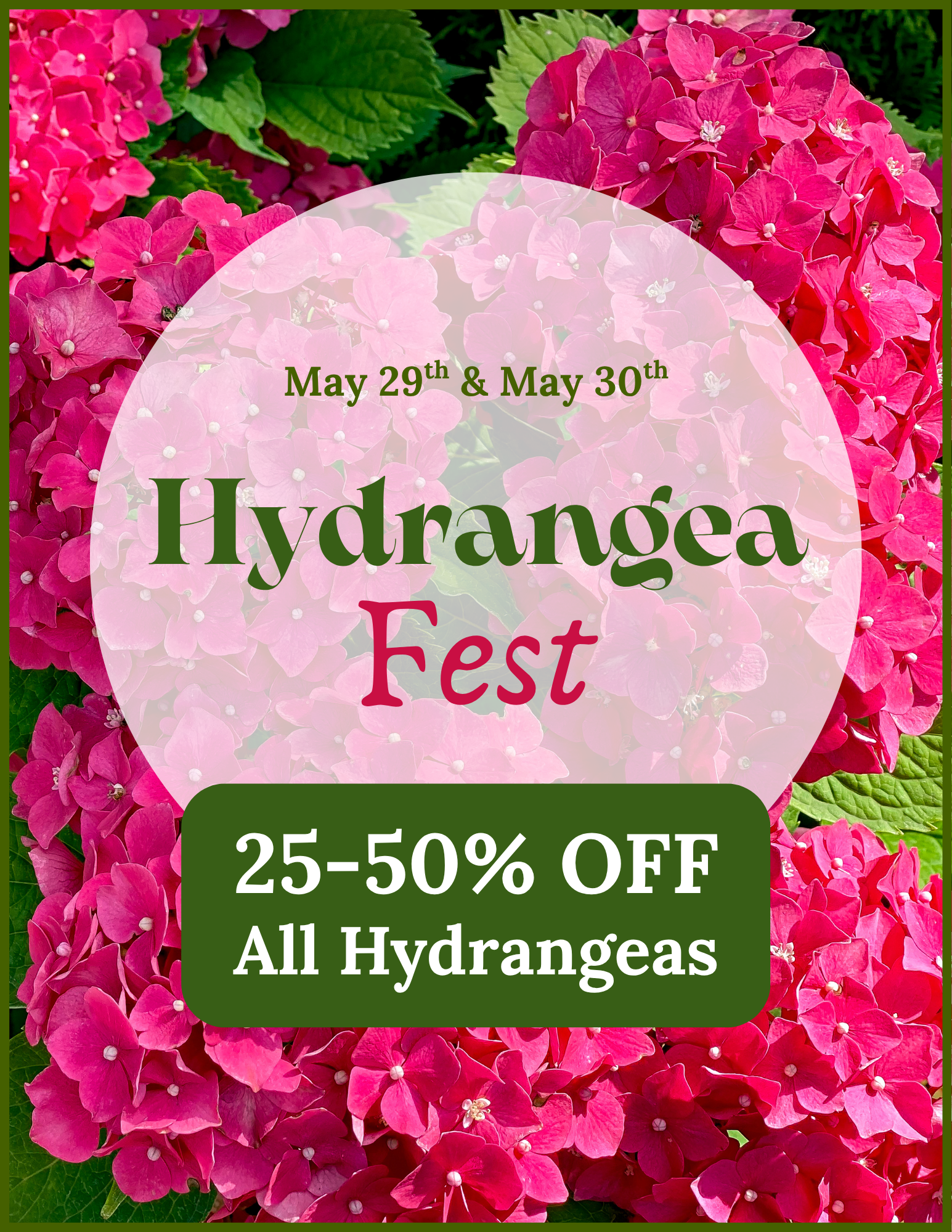Hydrangea Fest. Hydrangeas 25 - 50% Off on May 29th and 30th