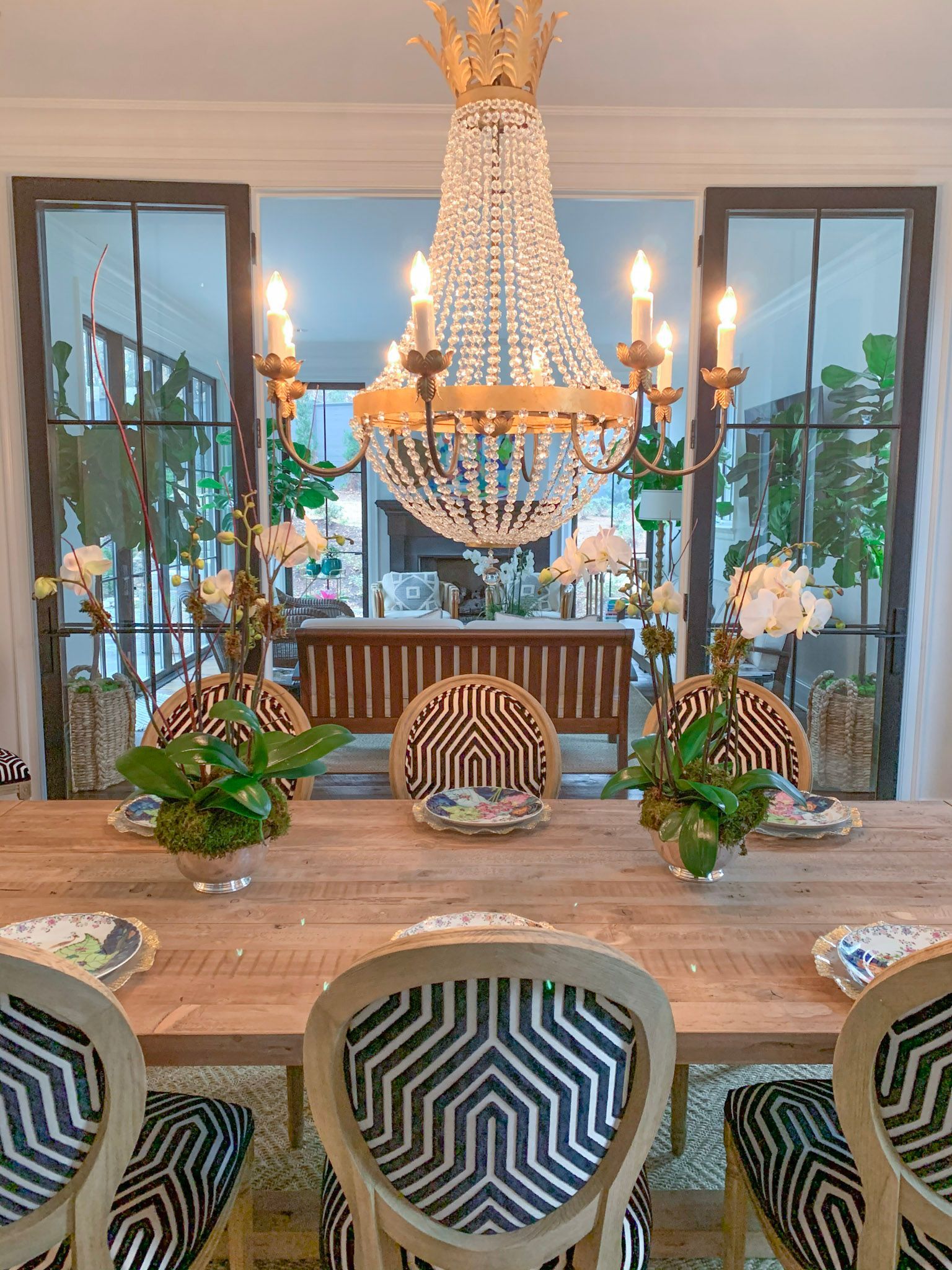 Orchid & Houseplant Design 13