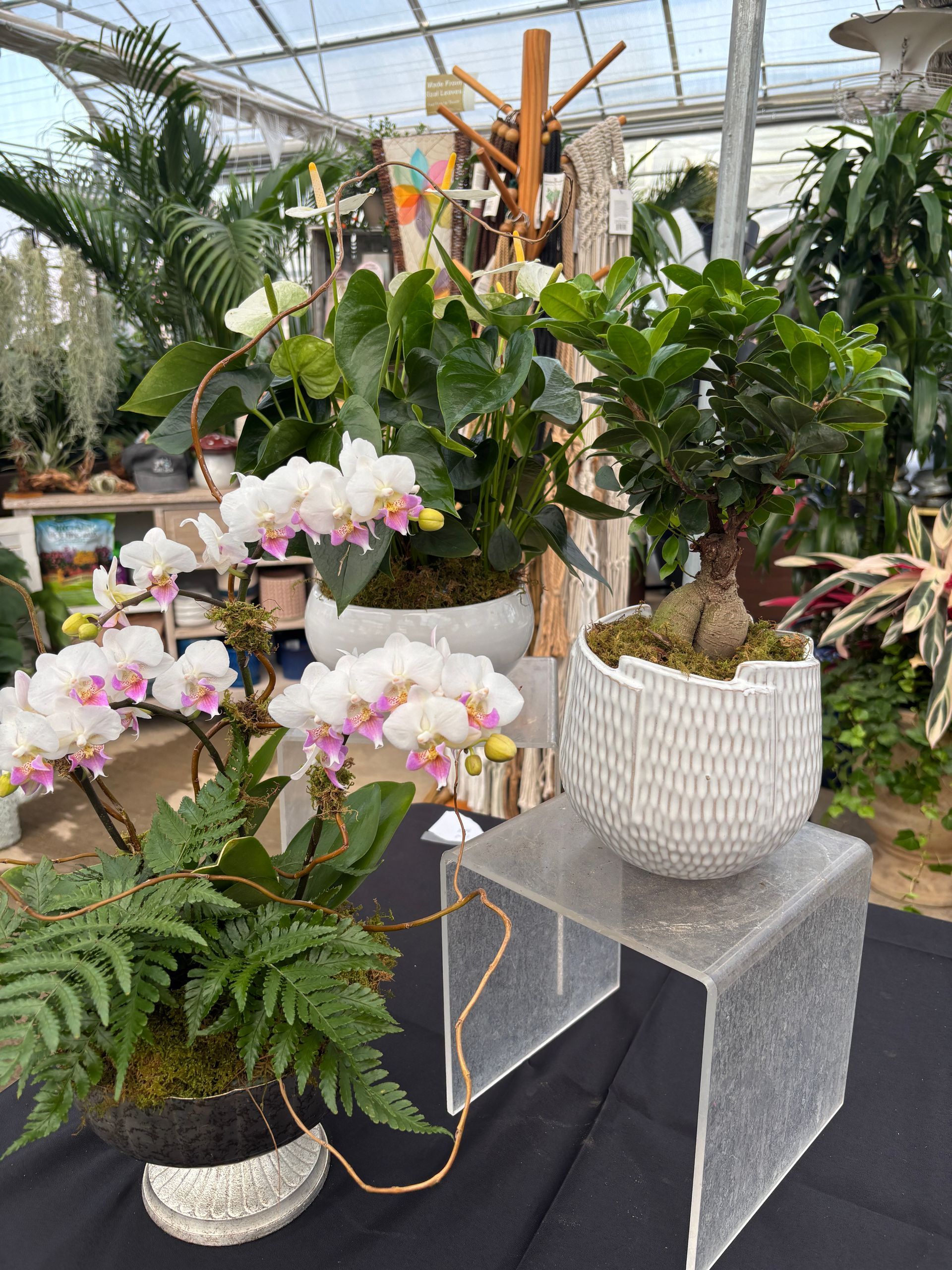 Custom Arrangement from past raffle