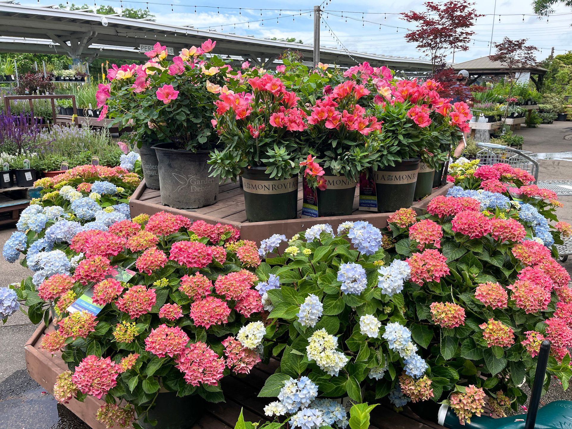 Logan's Garden Shop Garden Center & Plant Nursery Raleigh, NC
