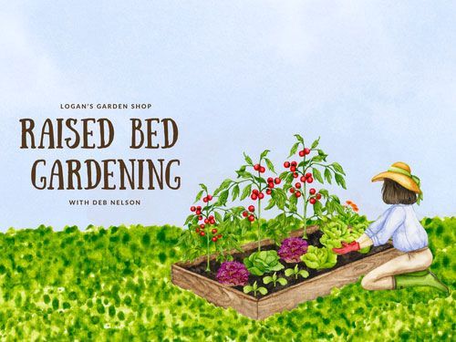 Raised Bed Gardening With Deb Nelson