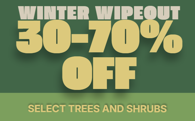 Save up to 70% on trees and shrubs