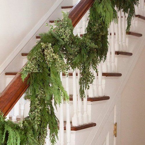 Fresh Evergreen Garlands