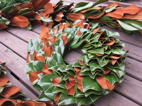 Fresh Magnolia Wreaths