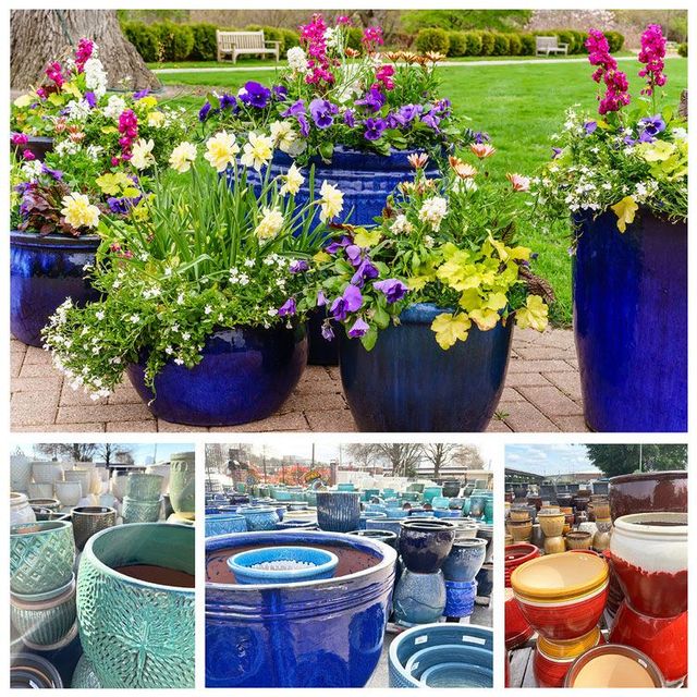 Container Gardening | Raleigh, NC | Logan's Garden Shop