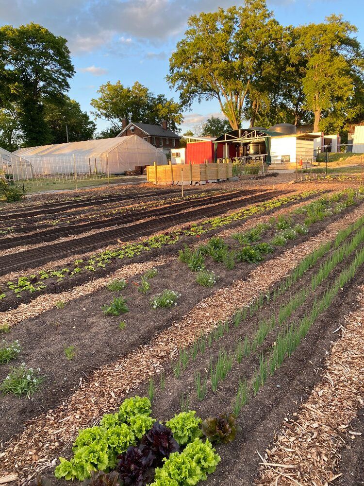 Raleigh City Farm