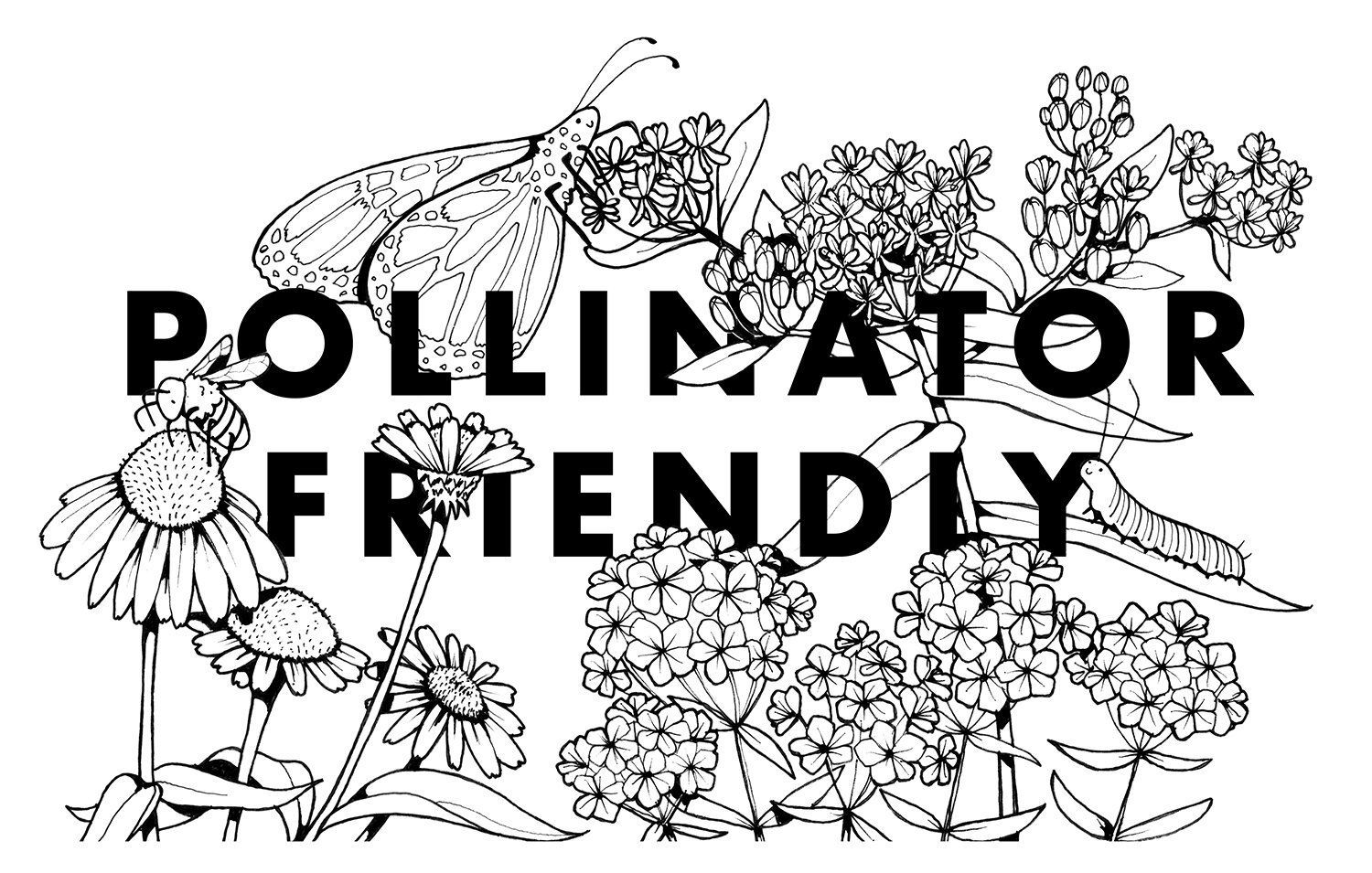 Pollinator Friendly Coloring Sheet