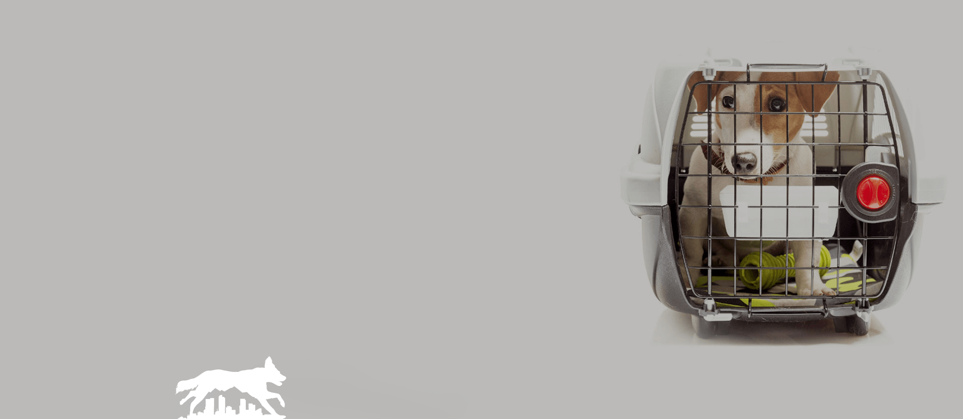 Denver Dog Running - Dog crate