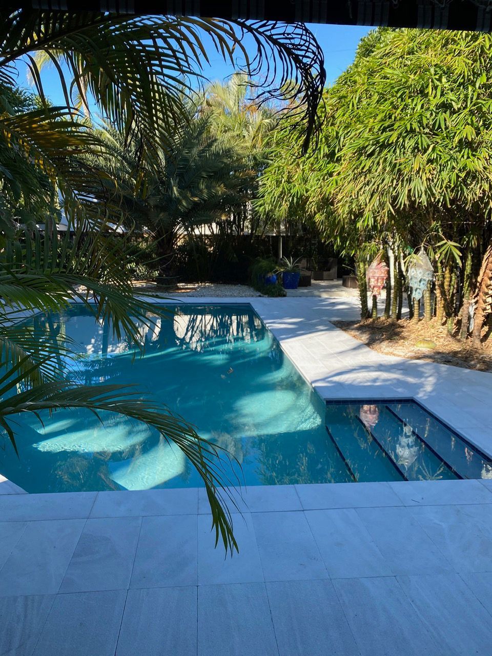 Swimming Pool Shade Trees — Davie, FL — All Star Pavers
