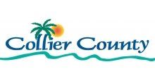 The collier county logo has a palm tree and a sun on it.