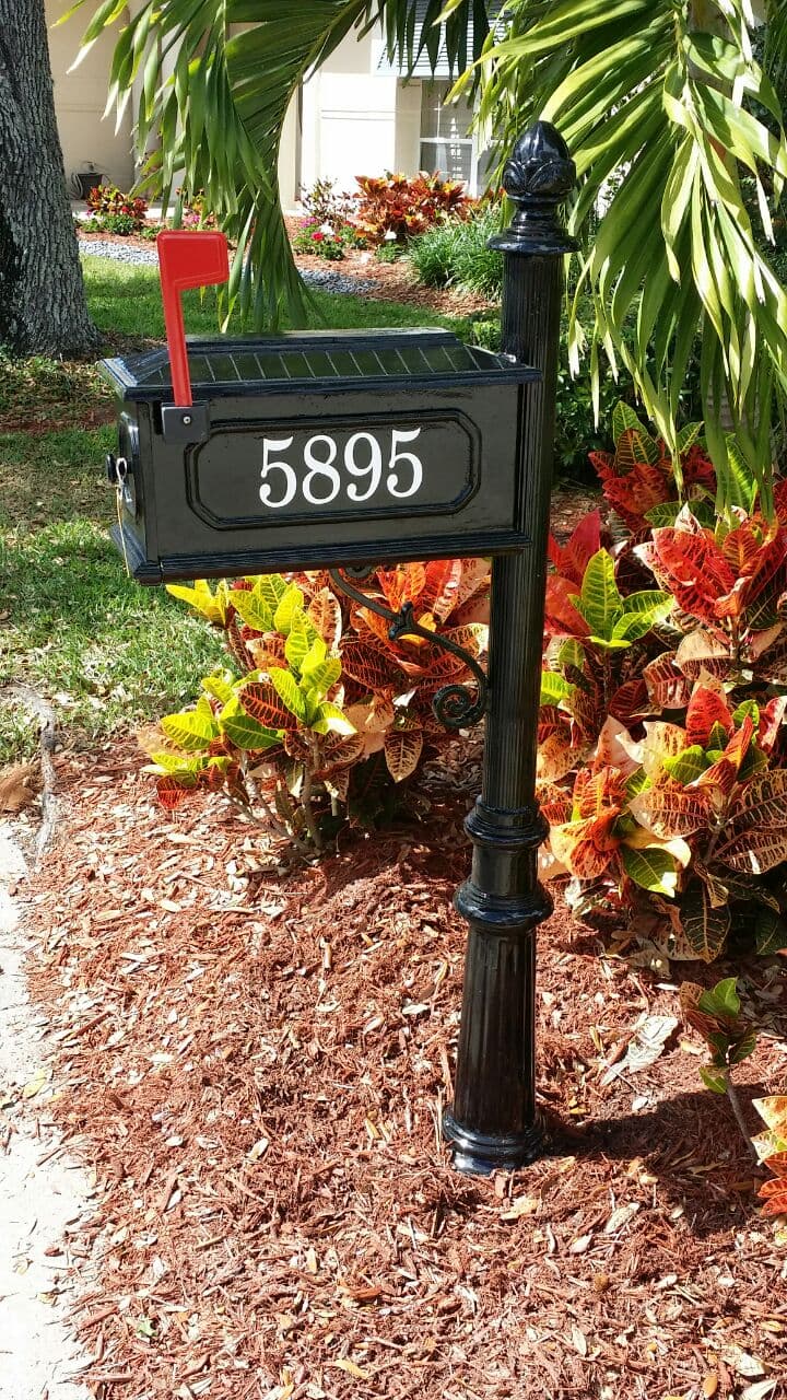 A black mailbox with the address 5895 on it is in a garden.
