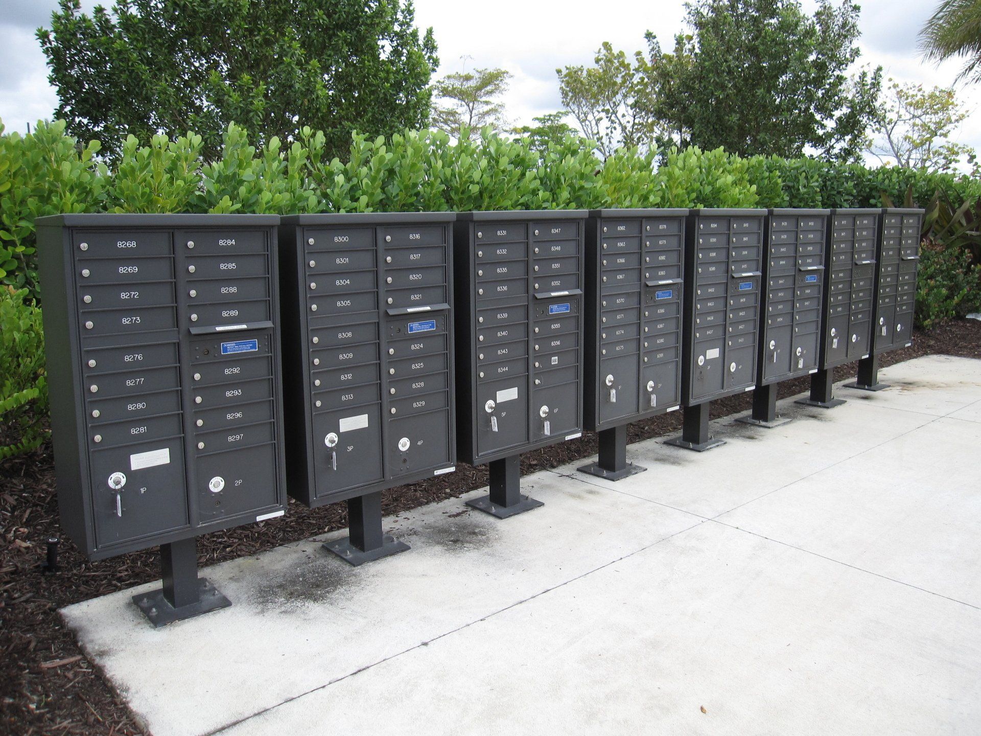 A row of mailboxes are lined up in a parking lot