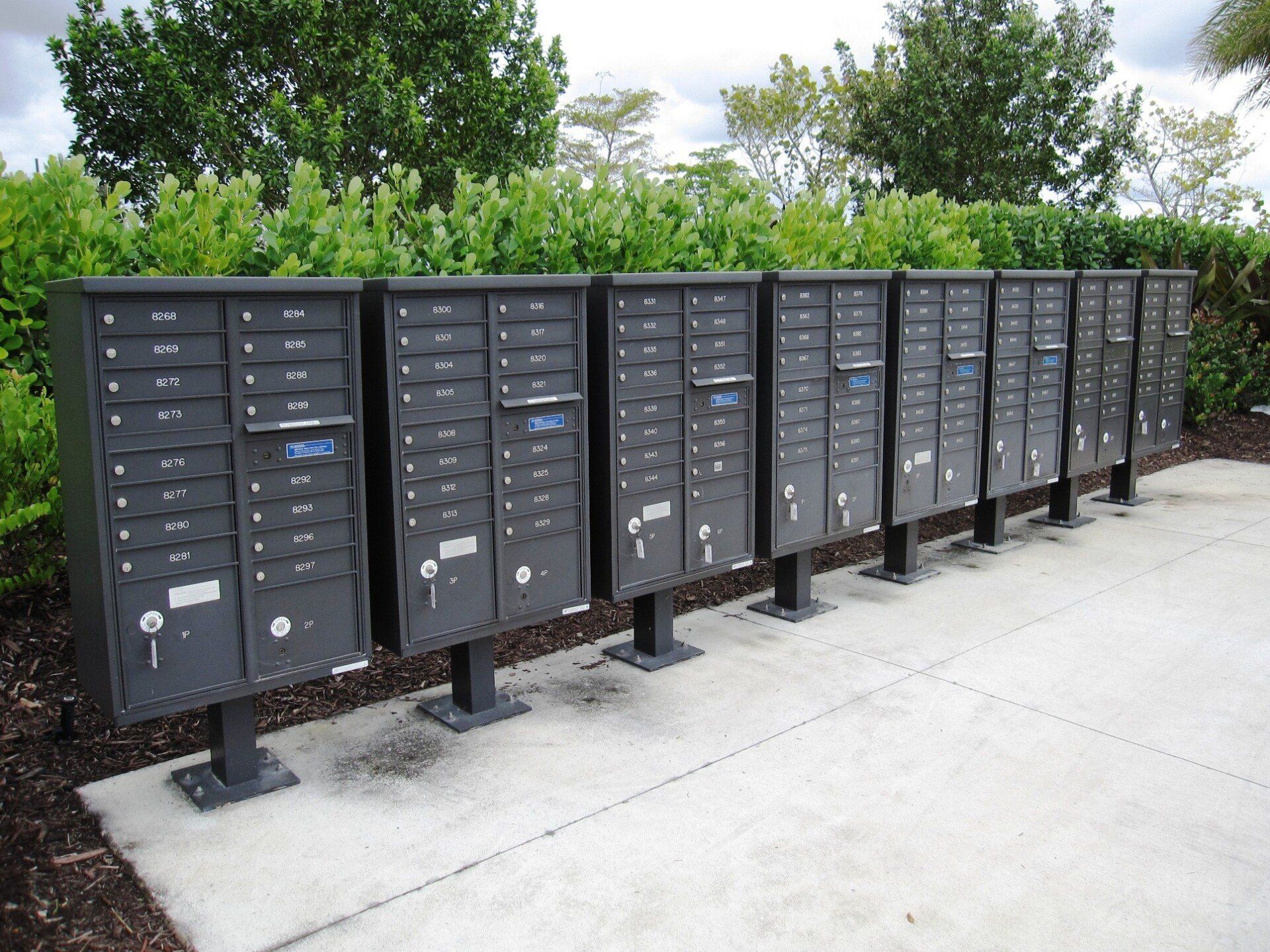 A row of mailboxes are lined up in a row