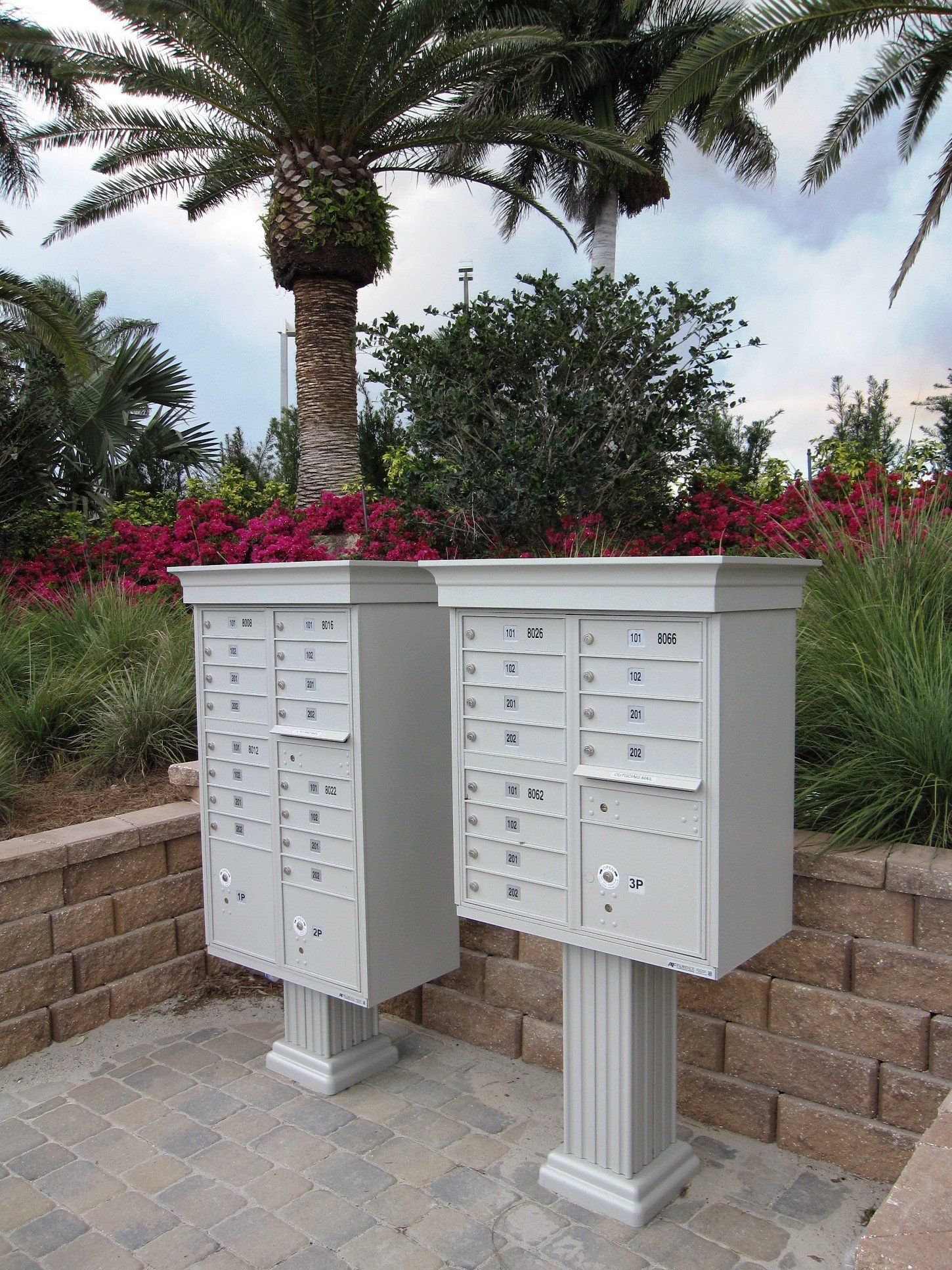 Two white mailboxes are sitting next to each other in front of a palm tree.