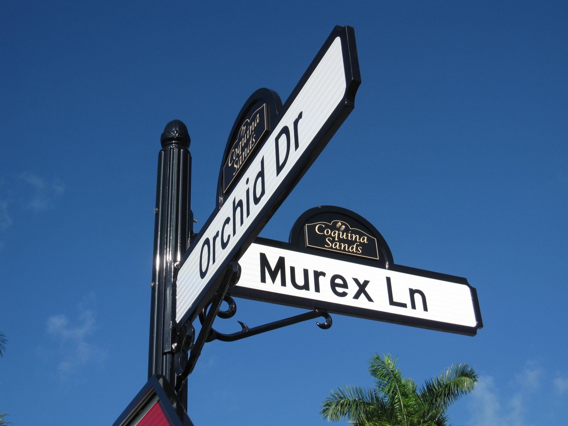 A street sign for orchid dr and murex ln