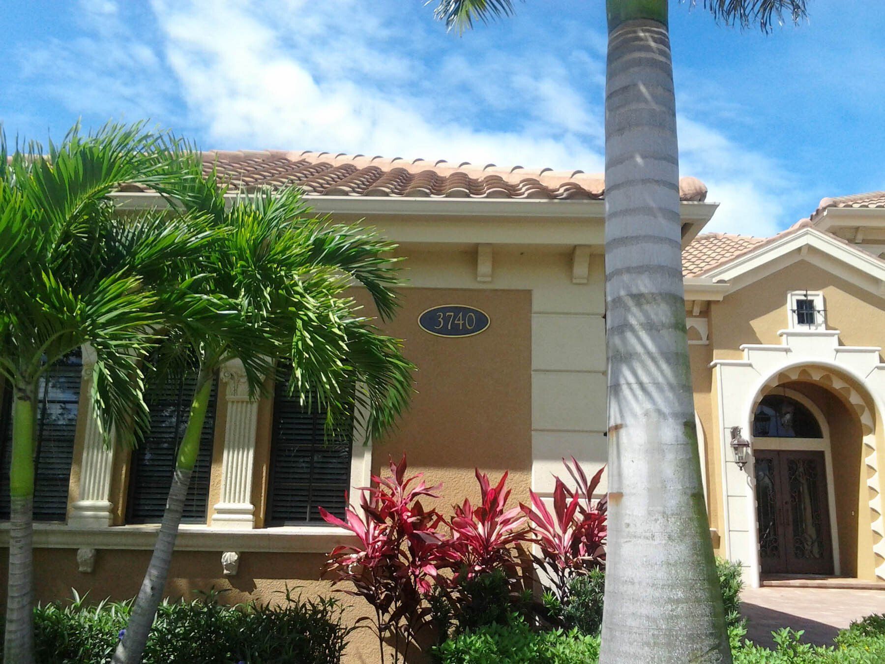A house with a palm tree in front of it