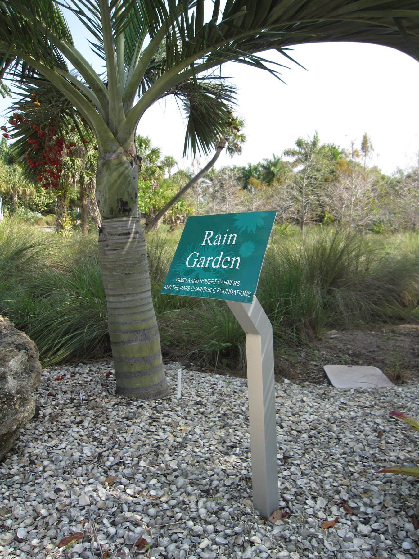 A sign that says rain garden on it in front of a palm tree