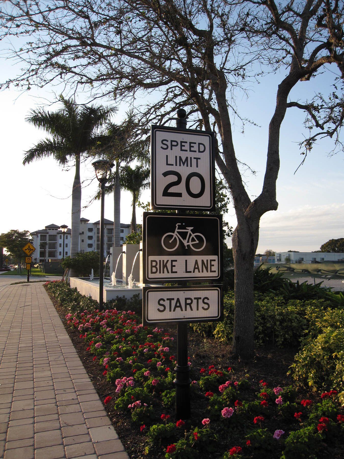 A sign that says speed limit 20 and bike lane starts