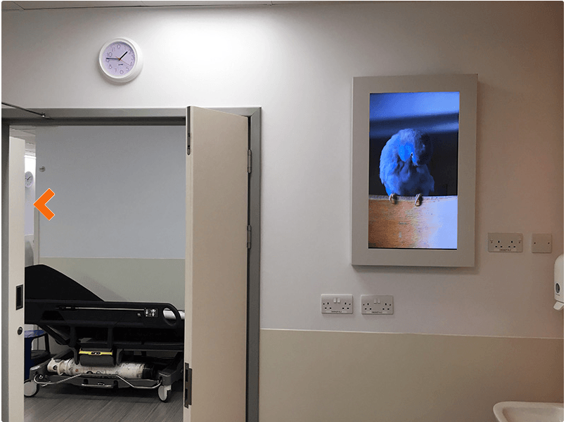 A hospital room with a picture of a bird on the wall